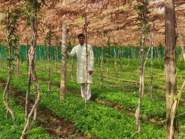 Sustainable Page - Ruia Agro Farms