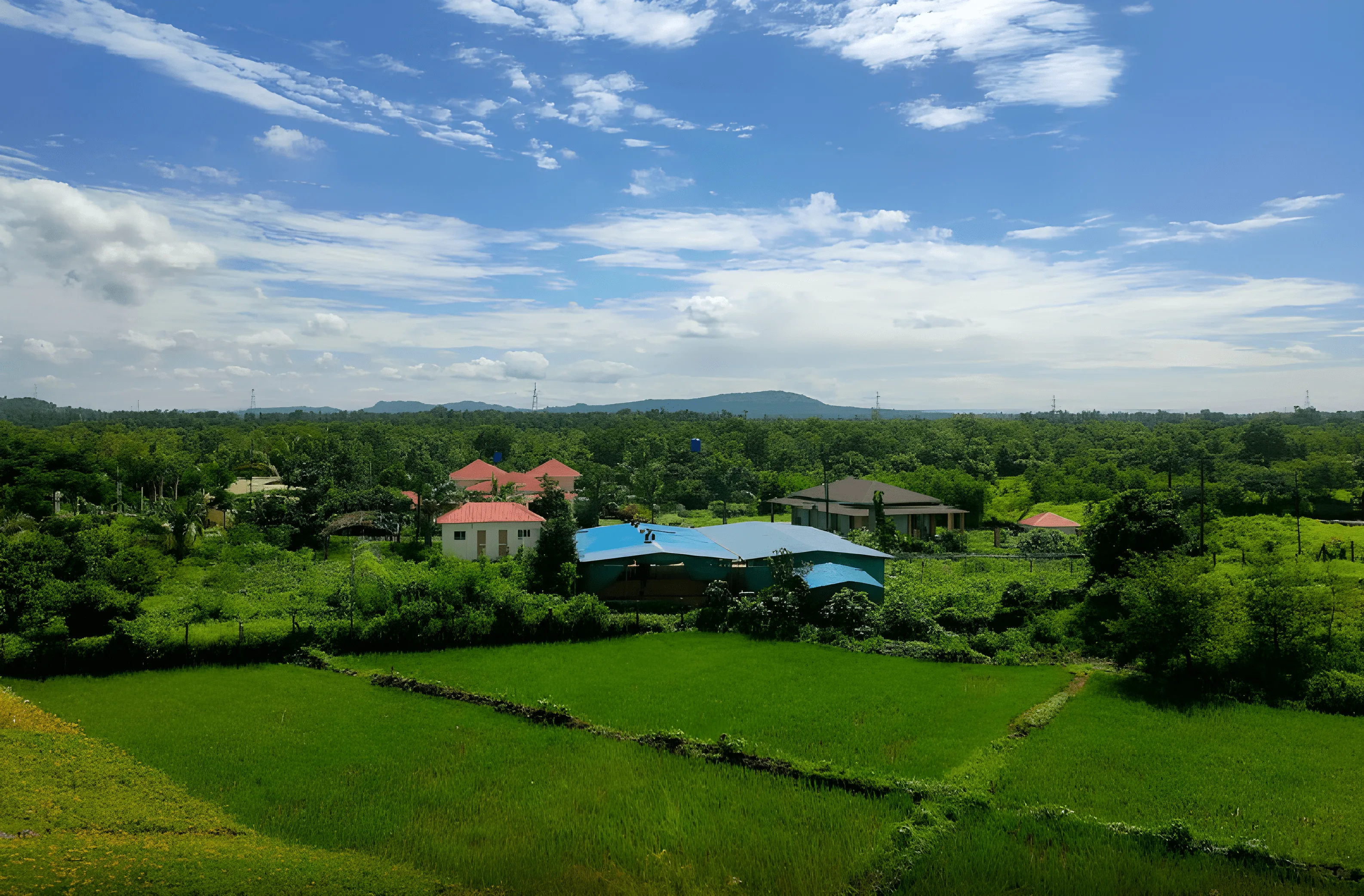 Barren Land vs. Ruia Agro Farms’s developed organic farms Which is better investment for Greener future?