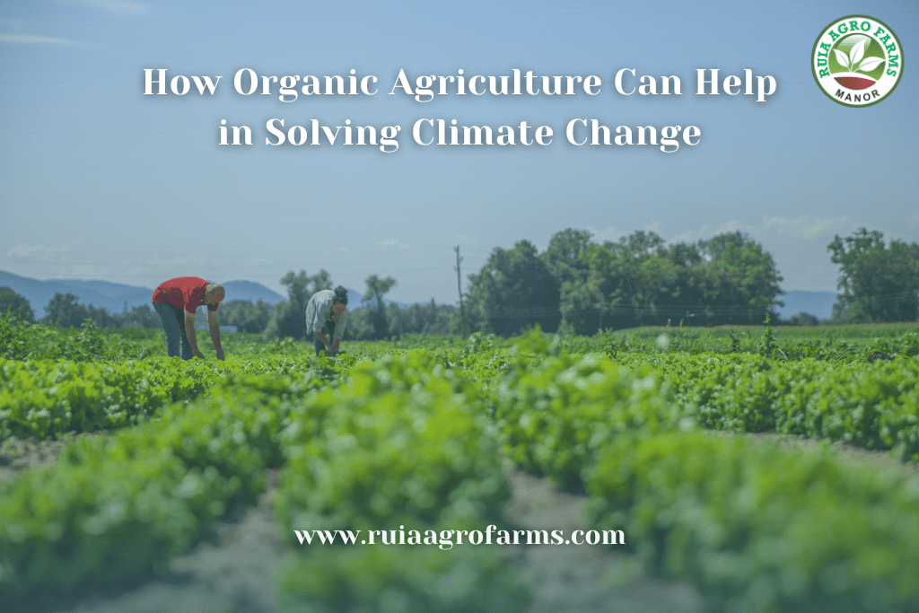 How Organic Agriculture Can Help in Solving Climate Change