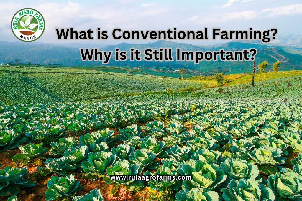 Importance of Conventional farming