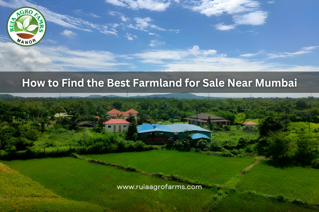 How to Find the Best Farmland for Sale Near Mumbai: Ruia Agro Farm.