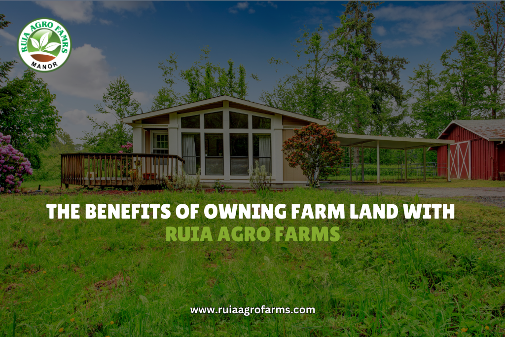 The Benefits of Owning Farm Land with RUIA AGRO FARMS