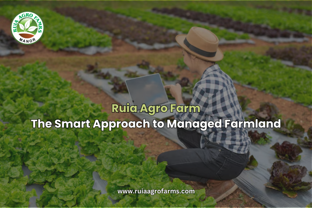 Ruia Agro Farm: The Smart Approach to Managed Farmland