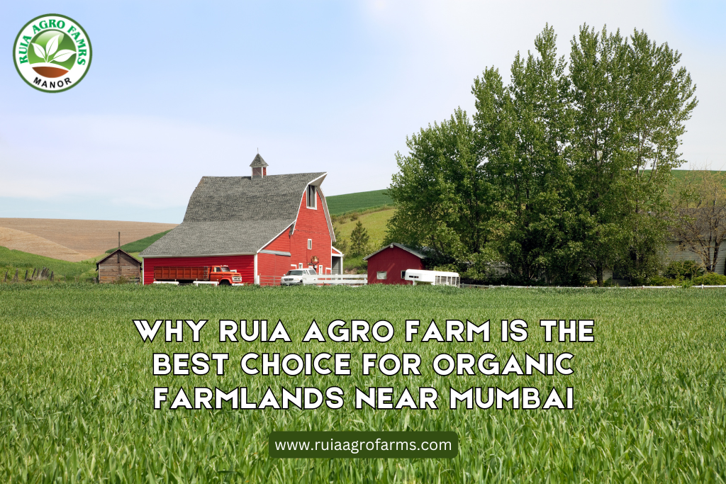 Why Ruia Agro Farm is the Best Choice for Organic Farmlands Near Mumbai