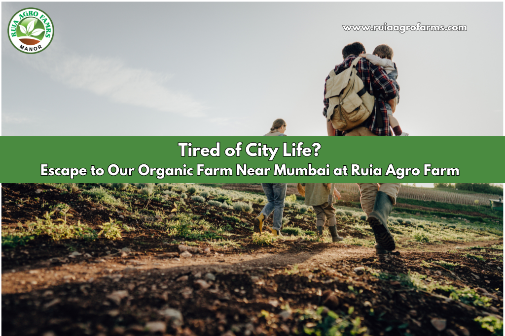 Tired of City Life? Escape to Our Organic Farm Near Mumbai at Ruia Agro Farm 