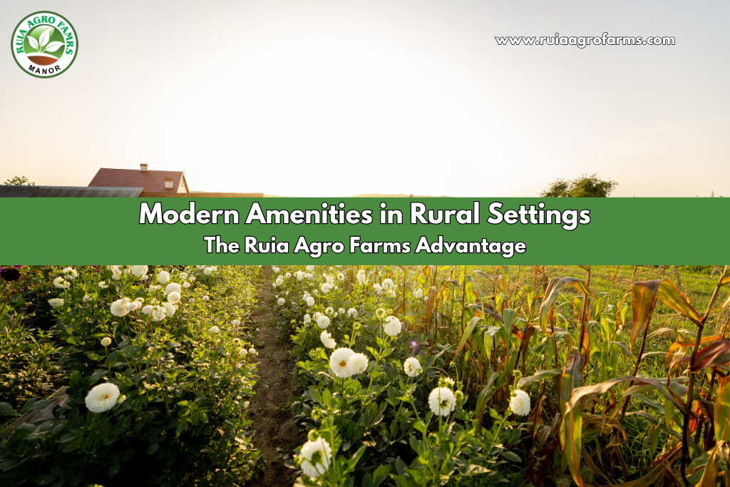 Modern Amenities in Rural Settings: The Ruia Agro Farms Advantage