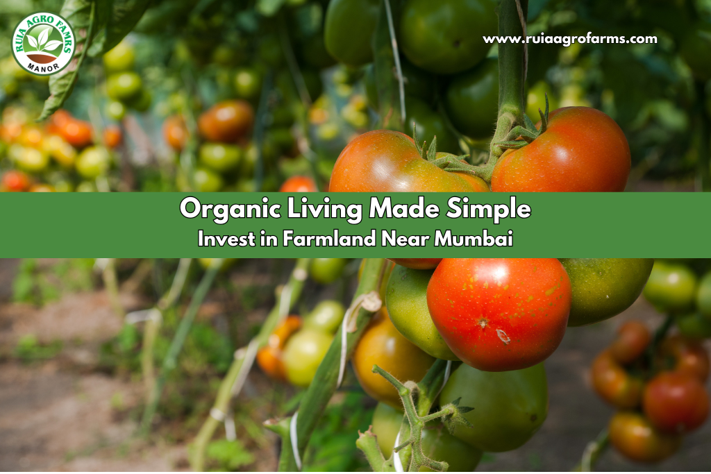 Organic Living Made Simple: Invest in Farmland Near Mumbai